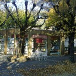 libreria iarrapino 2