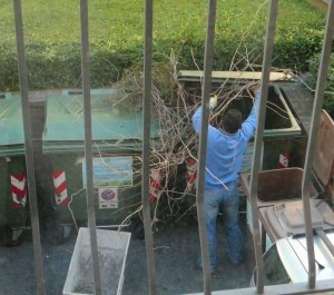 potature nei cassonetti verdi